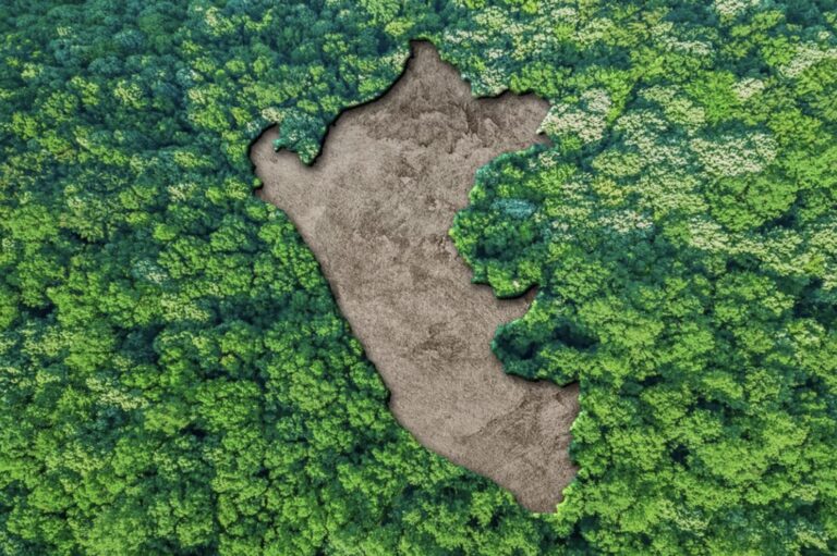 Lee más sobre el artículo Reglamento de la Ley de Ordenamiento Territorial y creación del SINADOT